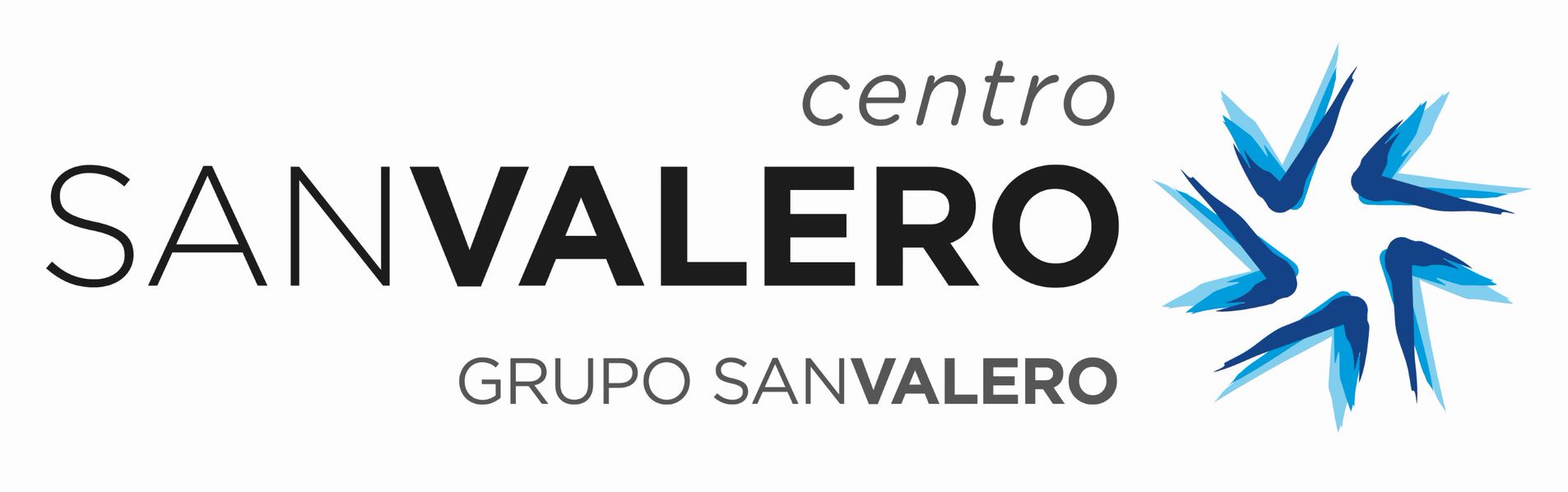 logo_san_valero